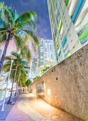 Miami buildings at night, Florida - USA
