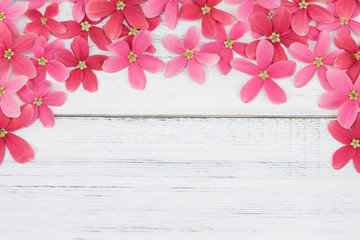 Pink and red flowers on white wood background with copy space