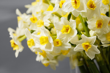 white narcissus. Spring Flower on retro table. Stylish office. Place for entries. Place for the inscription. Bouquet flowers in a vase.