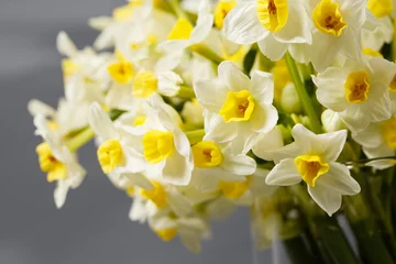 Deurstickers white narcissus. Spring Flower on retro table. Stylish office. Place for entries. Place for the inscription. Bouquet flowers in a vase. © malkovkosta