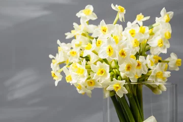 Fotobehang white narcissus. Spring Flower on retro table. Stylish office. Place for entries. Place for the inscription. Bouquet flowers in a vase. © malkovkosta