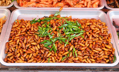 Thai food at market. Fried insects