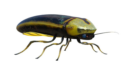 3D Rendering Lightning Bug on White