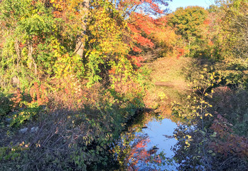 River and trees in foliage season