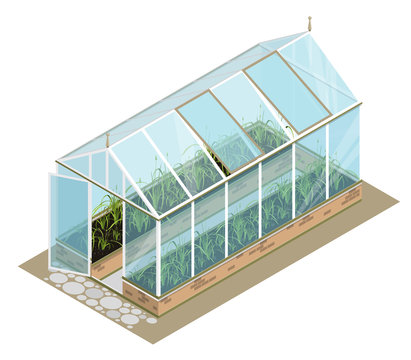 Isometric greenhouse with glass walls, foundations, gable roof, garden bed, white background. Vector horticultural conservatory for growing vegetable, flowers. Classic cultivate greenhouse gardening.