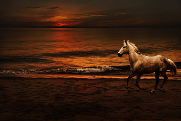 Night romantic landscape with a horse
