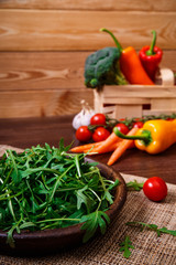 Green arugula leaves in bowl. Fresh salad.