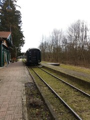 Peron. Białowieża. Stacja kolejowa © michalsen