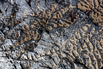 Coastal Rock Formation with Beach Sand