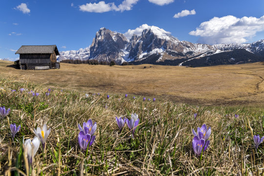 Alpe di Siusi