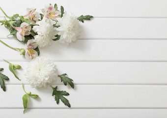 chrysanthemum on white  wooden background