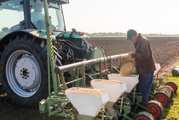 Fototapeta premium Farmer with can pouring soy seed for sowing crops at agricultural field in spring
