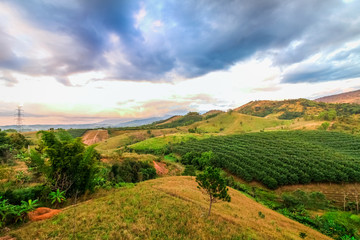 Naklejka premium Beautful green field mountain and blue sky at Khao Kor, Thailand