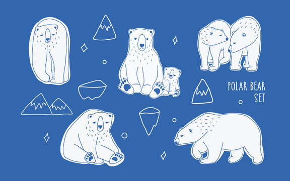 Set with different white polar bears. Hand drawn, doodle vector collection.