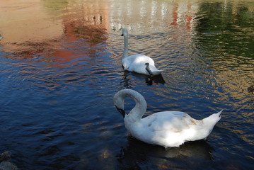 Bydgoszcz, Stare Miasto - Wenecja Bydgoska. © M. G. Koperkiewicz