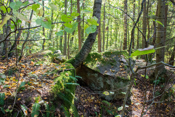 Nature monument Chertovo Gorodische. Kozelsk, Russia
