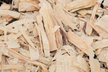 Stump with sawdust shavings outdoors. Carpentry woodwork concept background