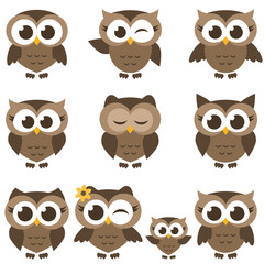 set of brown owls and owlets isolated on white