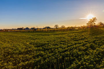 beautiful sunset over a field in rural country Romania