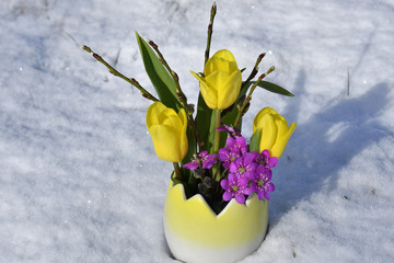 Some of the early springtime (Easter) flowers in a vase