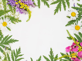 Fototapeta premium Frame with different herbs and flowers
