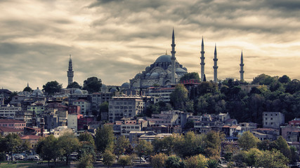 Fototapeta na wymiar Istanbul cityscape with the view on Suleymaniye Camii mosque