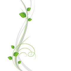 Beautiful  abstract floral background with green leaves . Element for design