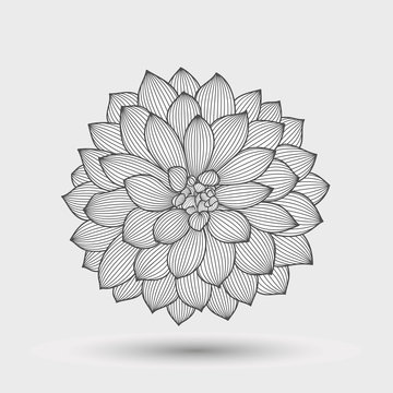 Abstract monochrome floral background. Hand drawing flower dahlia. Element for design