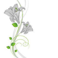 Beautiful hand-drawing floral background with green leaves and flowers lily