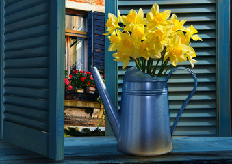  Watering can with daffodils