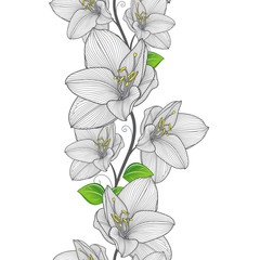 Seamless hand-drawing floral background with flower amaryllis