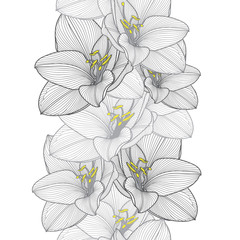 Seamless hand-drawing floral background with flower amaryllis