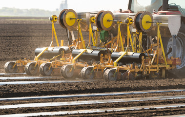 Preparation for cucumber planting at field - putting nylon foil in rows so plant can sprout easier