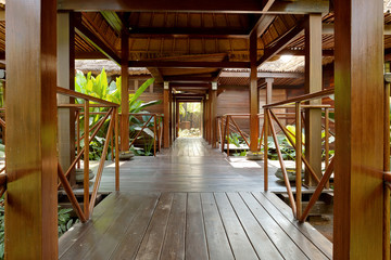 Wellness and spa concept. Private area for spa treatments