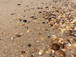 Stones and shells on a sandy beach