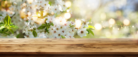 White blossoms in spring with wooden table