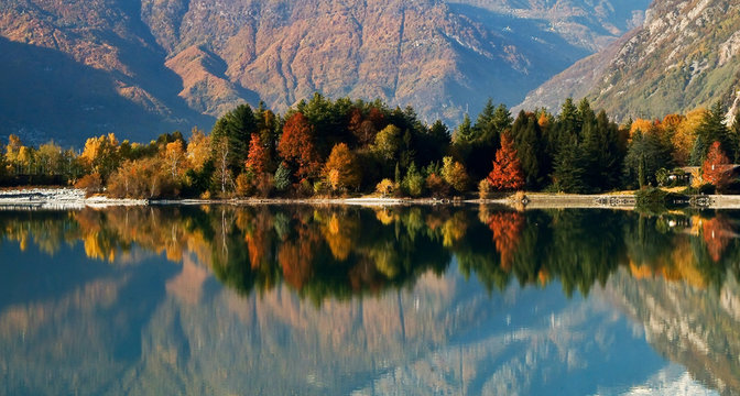 The autumn colors are reflected in the calm waters of Lake Mezzola. Novate Mezzola. Valchiavenna. Vallespluga. Lombardy Italy. Europe