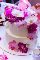 Obraz na płótnie Canvas cupcakes, cake, white, background, cupcake confectionery, sweet, top