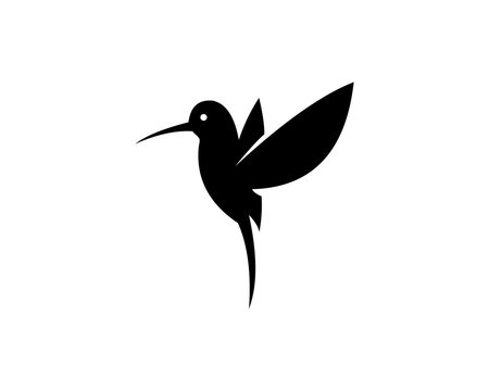 Bird logo vector