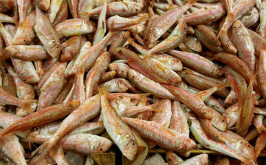 Fish market