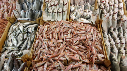 Fish market