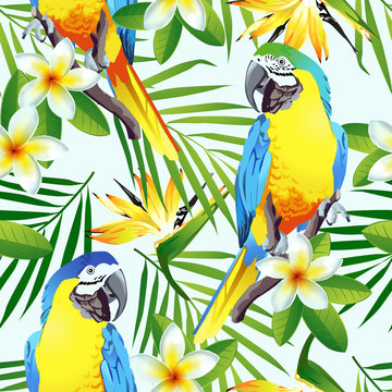 Tropical birds. Colorful parrots and exotic flowers. Vector. 