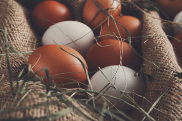 Fresh chicken white and brown eggs on sack, organic farming background