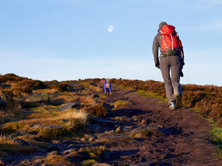 A hiker and their dog walking in the Northumberland countryside, Simonside near Rothbury, England, UK.