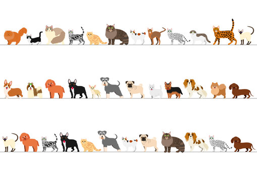 standing small dogs and cats border set