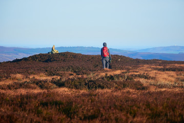 A hiker and their dog walking in the Northumberland countryside, Simonside near Rothbury, England, UK.