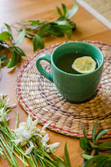Black tea with lemon in green mug with snowdrops and spring plants background