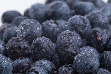 Blaubeeren frisch