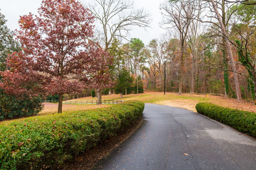 Fototapeta na wymiar Asphalt road in autumn Lullwater Park, Atlanta, USA.