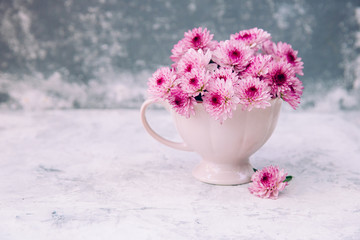 Happy Mother's Day Congratulations Concept